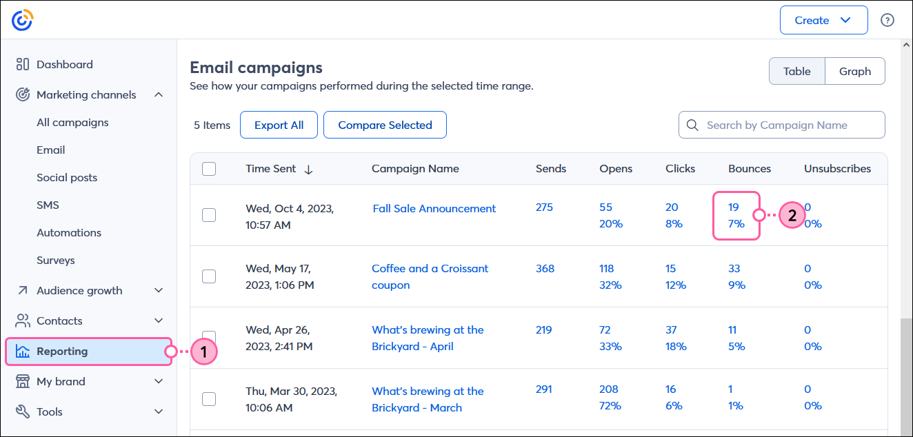 Email Campaigns table and Bounces column with hyperlinked number