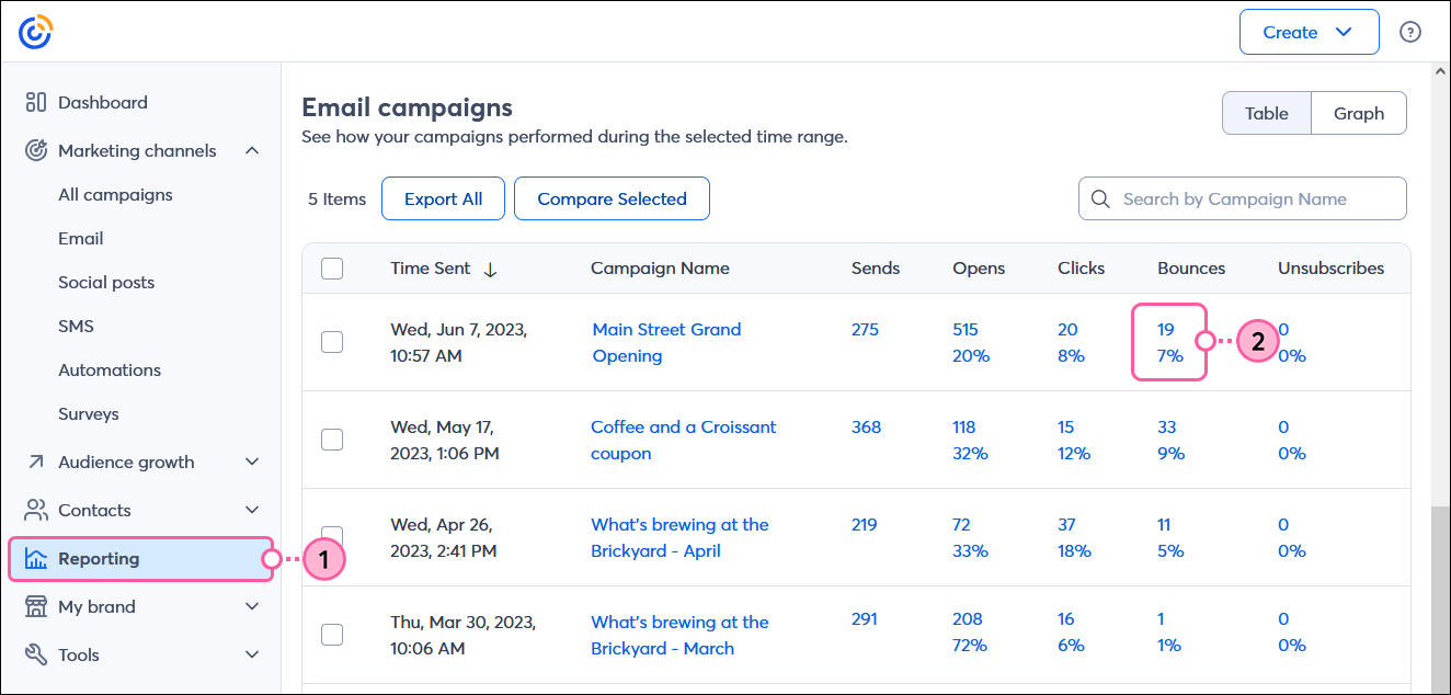 Email Campaigns table and Bounce Link
