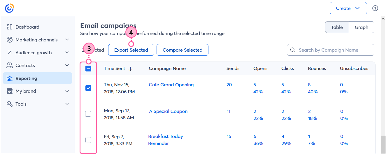 Reporting tab with Email campaigns section, email campaign selected and Export Selected button