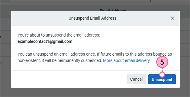 Unsuspend Email Address pop-up with Unsuspend button
