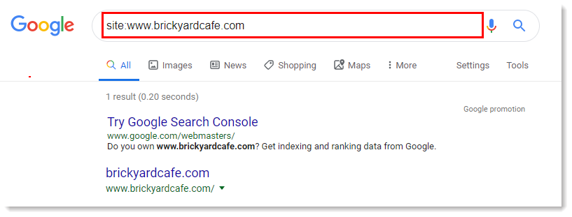 Google Site Search