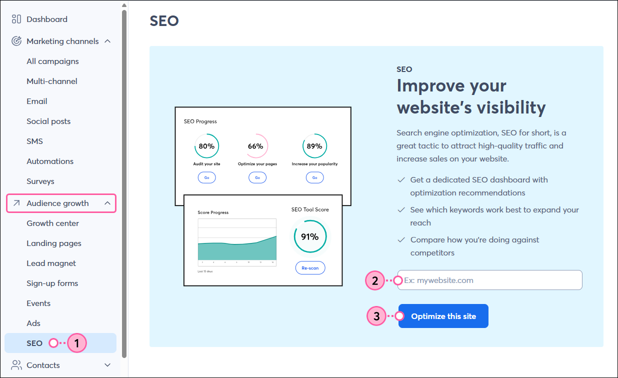Audience Growth dropdown with SEO option, Website URL field, and Optimize This Site button
