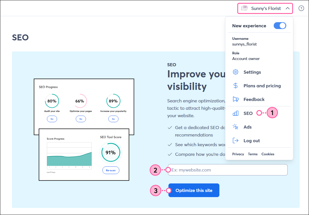 Profile dropdown with SEO option, Website URL field, and Optimize This Site button