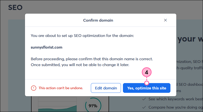 Domain confirmation and Yes Optimize This Site button