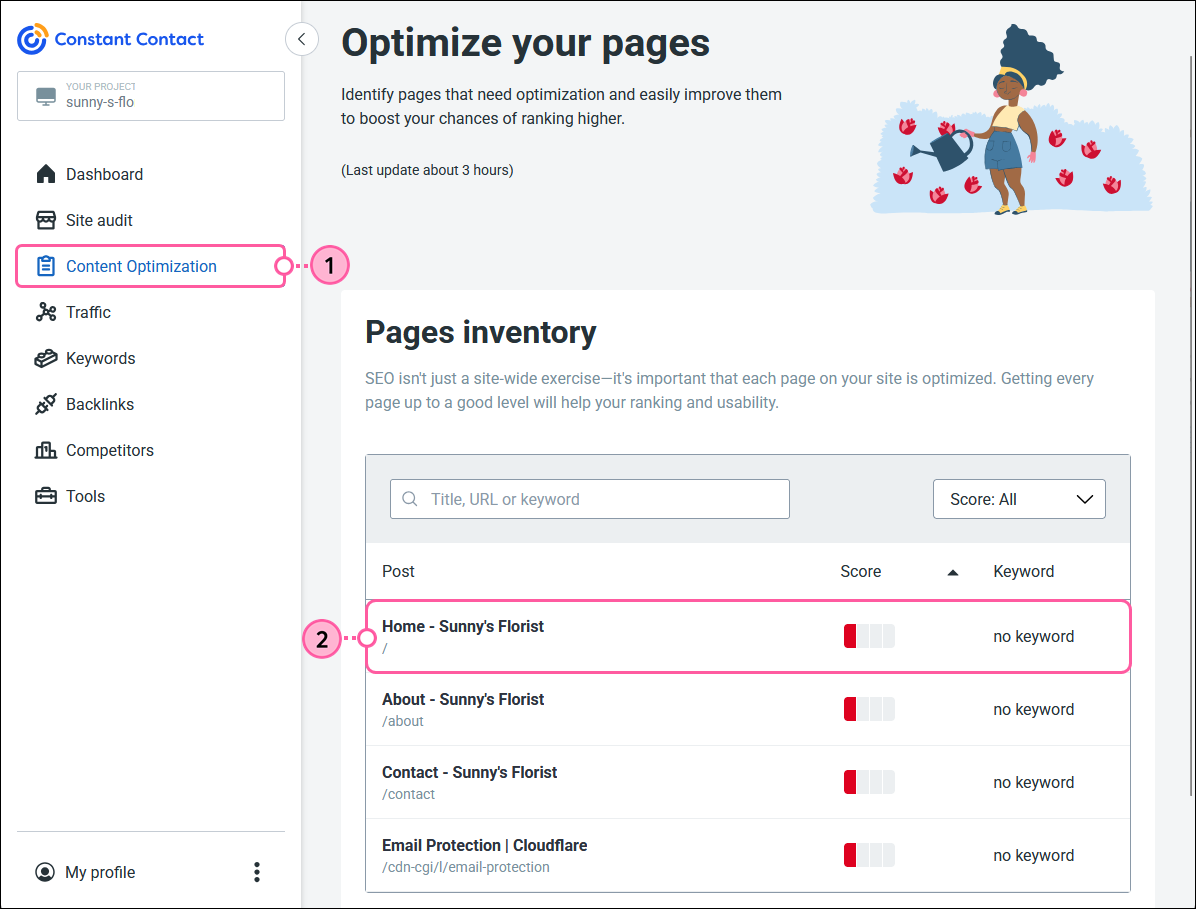 Content Optimization tab, Pages to Optimize, page selected