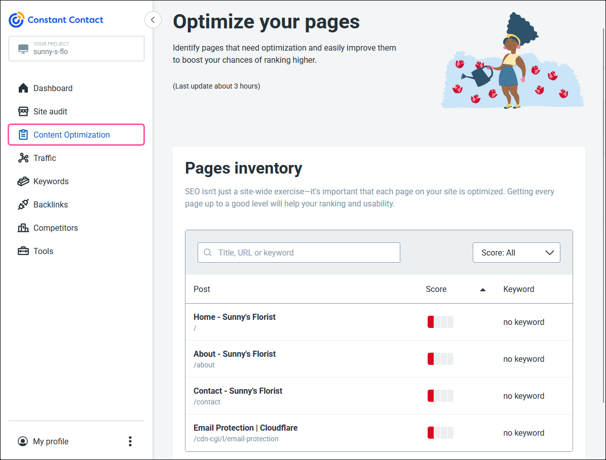 Content Optimization tab and pages to optimize