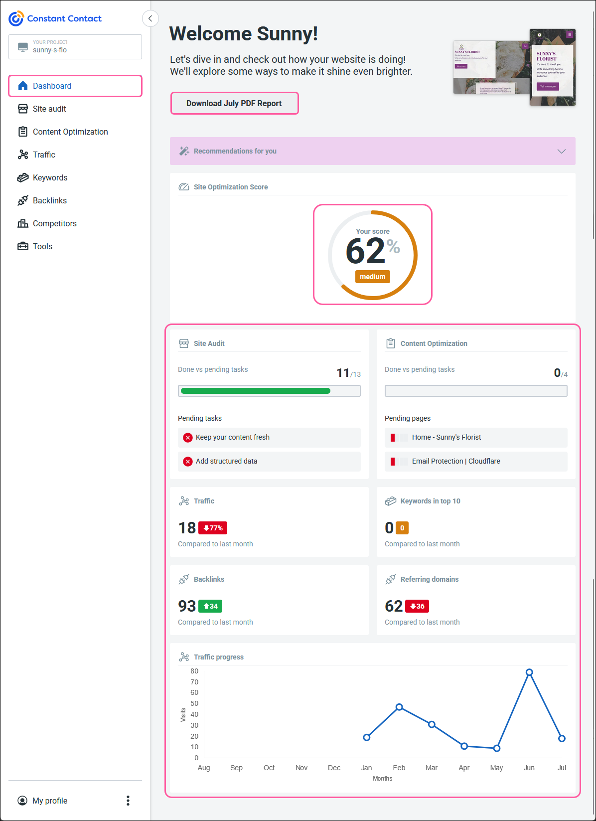 Dashboard Tab, Download Report button, Site Optimization Score, and Overview info