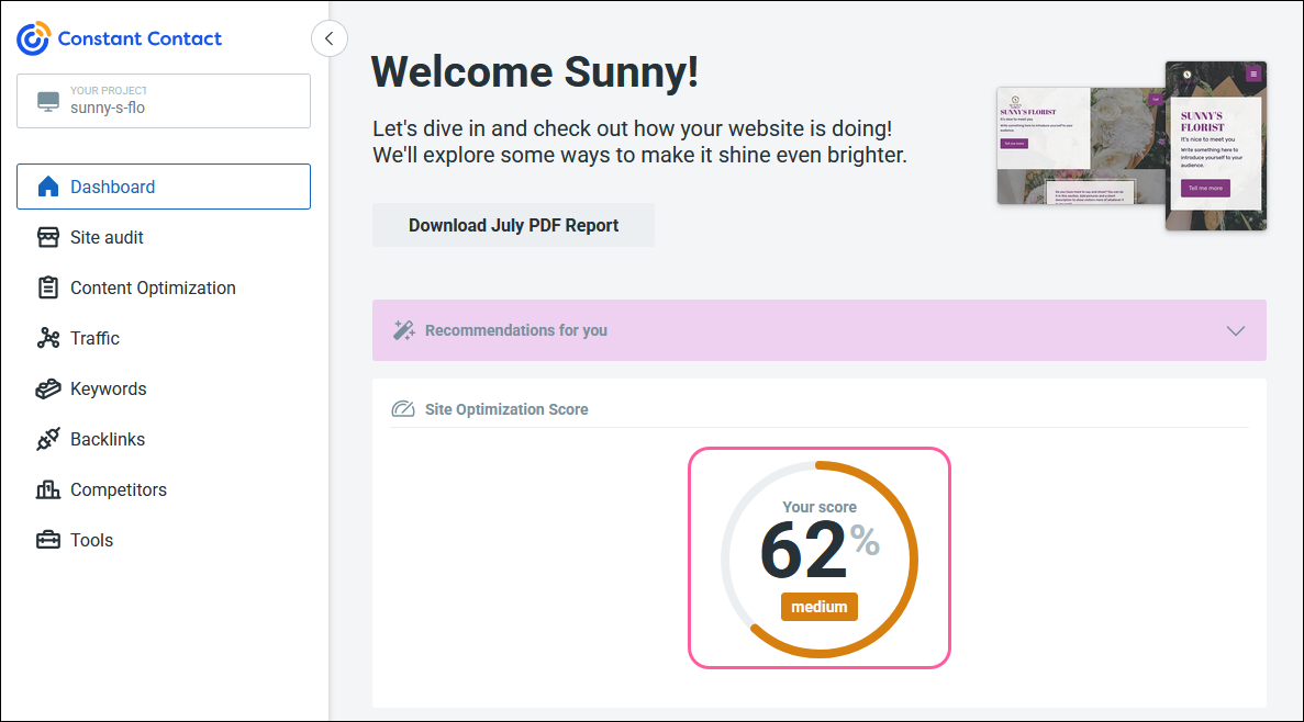 SEO Score
