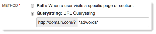 Querystring Audience Adwords