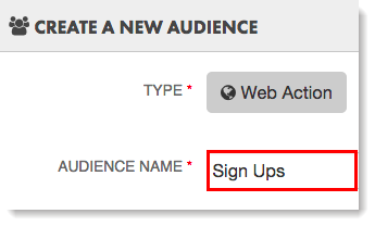 Website Audience Name