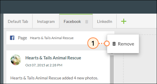 Remove Feed
