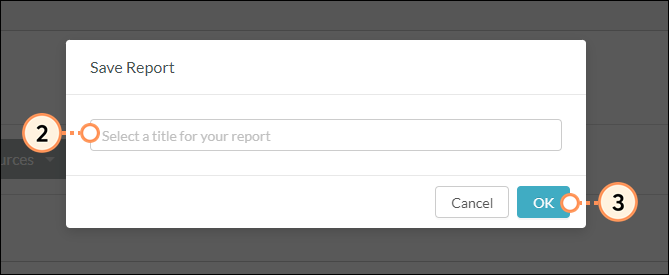 Enter a name for the report