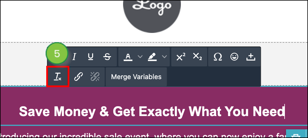 Remove Text Formatting