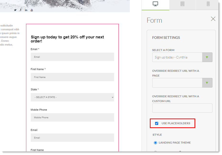 Display placeholders for a form on a landing page
