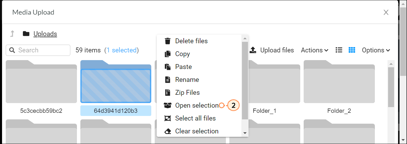 Viewing_Files_3.png