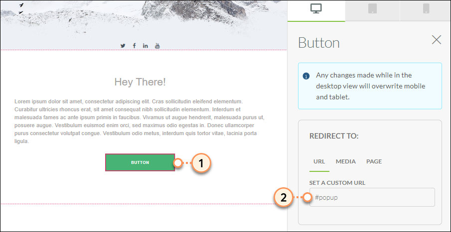 Enter #popup as custom URL for button