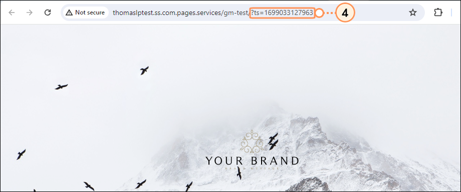 Remove time stamp from live page URL