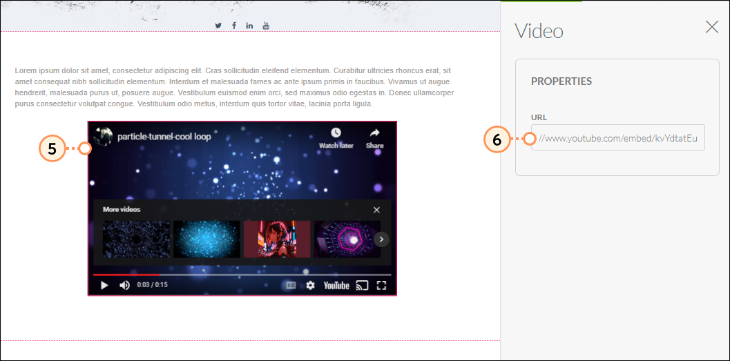 Enter URL for your inserted video