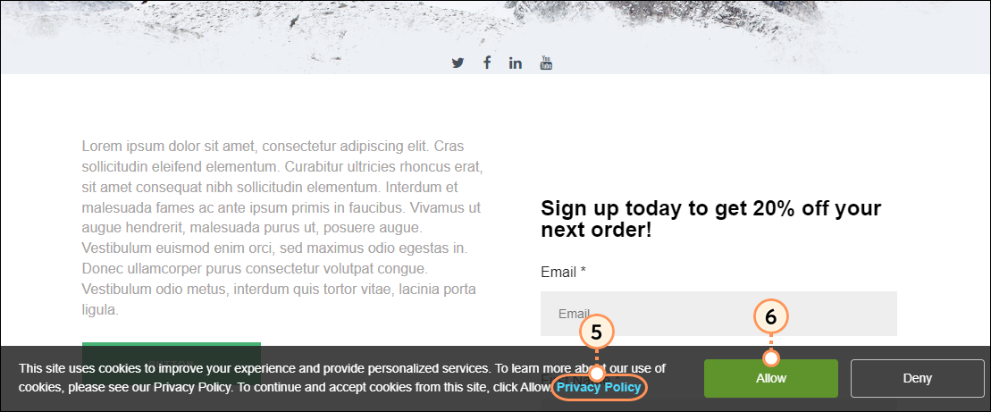 Privacy policy link and Allow button