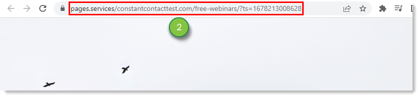 Copy Landing Page URL