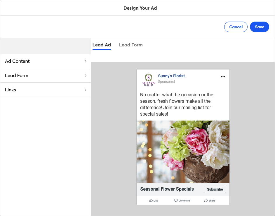 Example Facebook and Instagram Lead Ad with Subscribe button in the editor