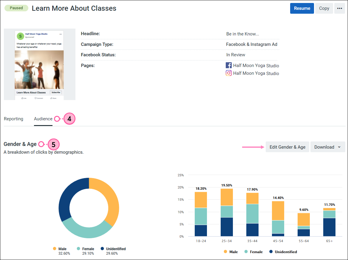 Facebook and Instagram Ad Details page, Audience tab selected, Gender & Age section, and Edit Gender & Age button