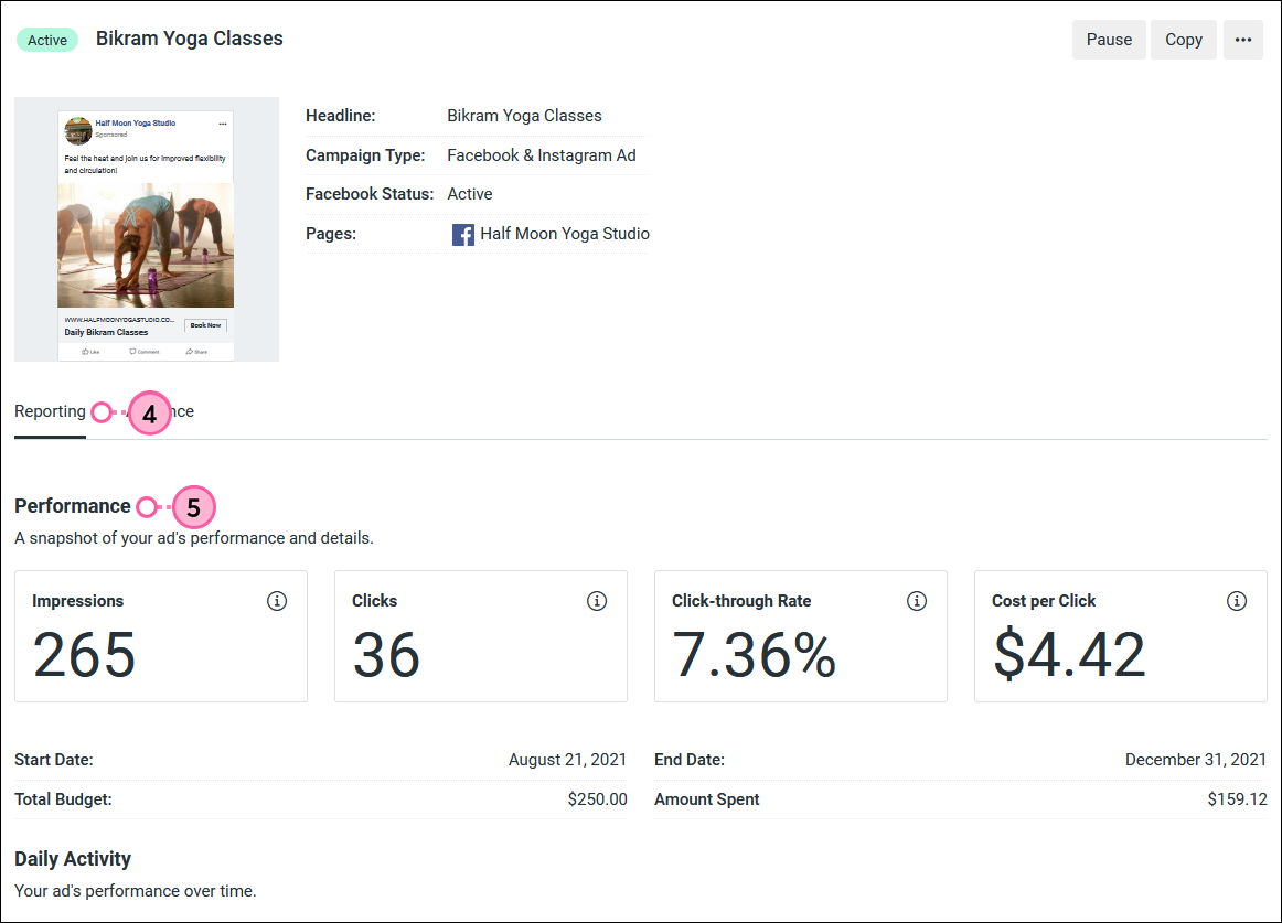 Facebook and Instagram Ad Details page, Reporting tab selected, Daily Activity section and Download button