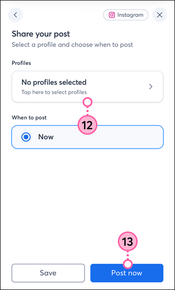 Share your post page with Profiles option, When to post option with Now selected, and Post now button