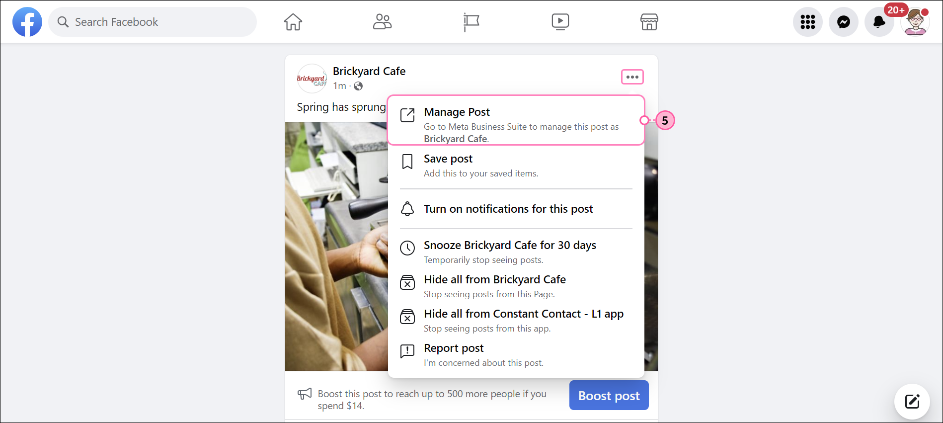 Post Drop-down Menu and Edit post Option