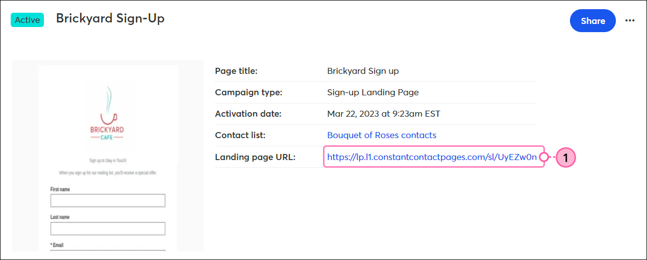 Página de detalles de Página de llegada personalizada, campo URL de página de llegada y URL