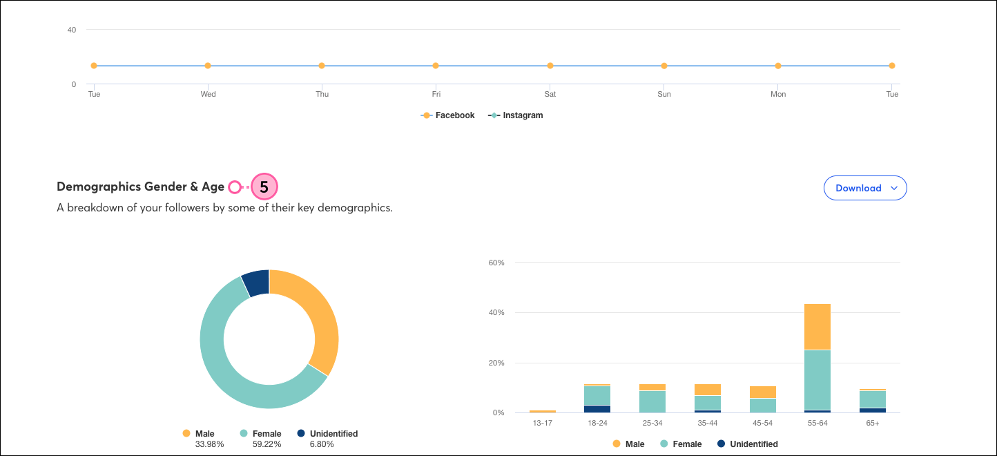 Social tab, Analytics tab selected, Demographics Gender & Age section with gender and age charts, and Download button
