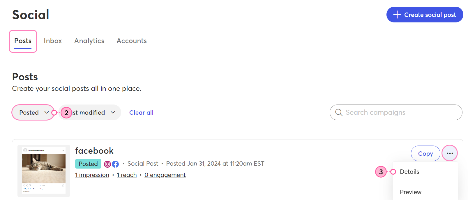 Social tab, Posts tab selected, Status drop-down menu with Posted option selected, posted Social Post with menu expanded and Details option selected