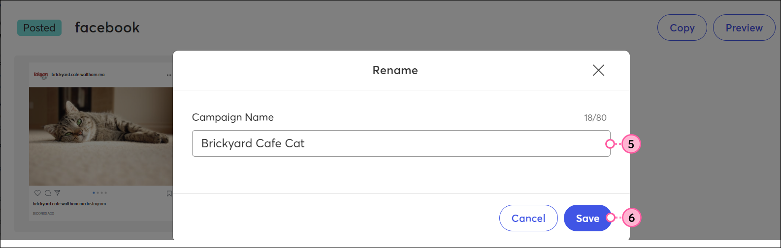 Rename overlay with Campaign Name field and Save button