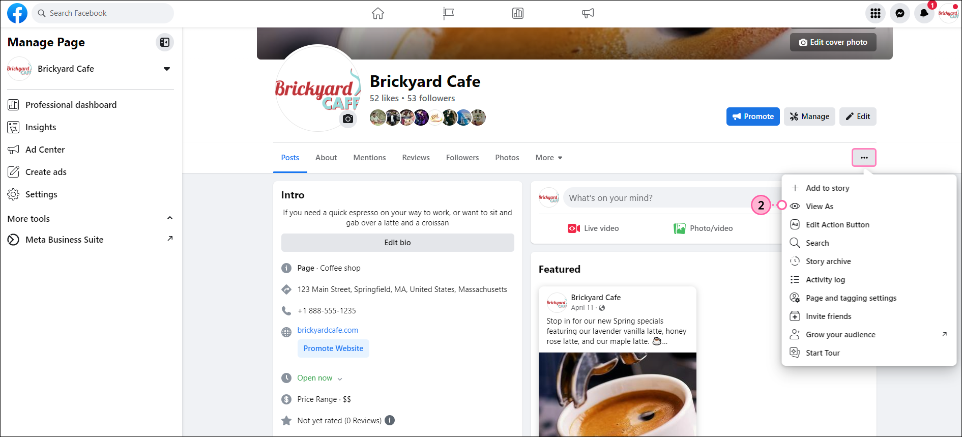 Facebook Business Page (Página empresarial de Facebook) y View as Visitor Button (botón Ver como visitante)
