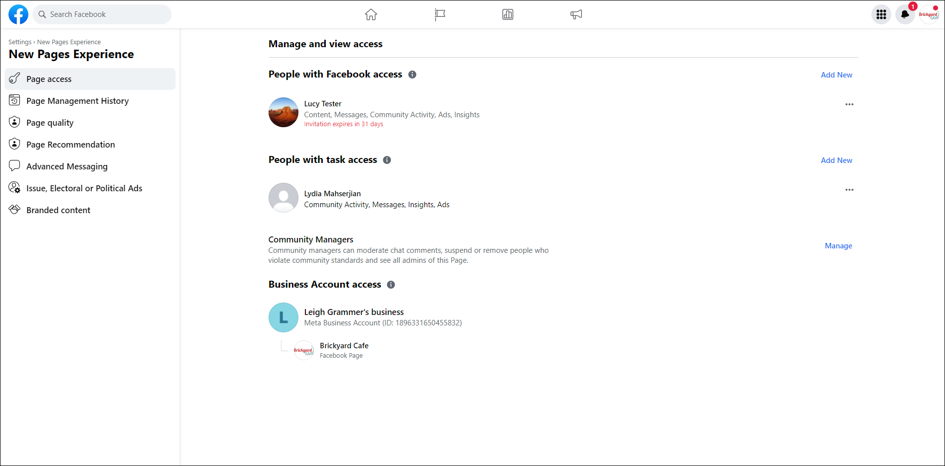 Existing Page Roles Section with Pending Admin