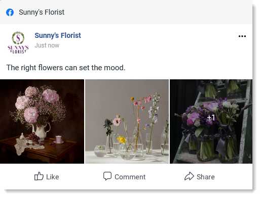 More than three images in a Facebook post with a +1 to view the rest of the images, where the first image added was square