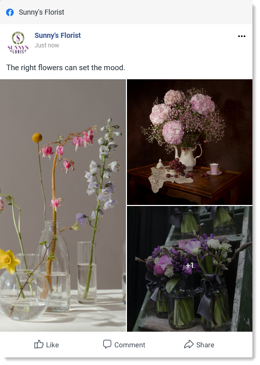 More than three images in a Facebook post with a +1 to view the rest of the images, where the first image added was vertical