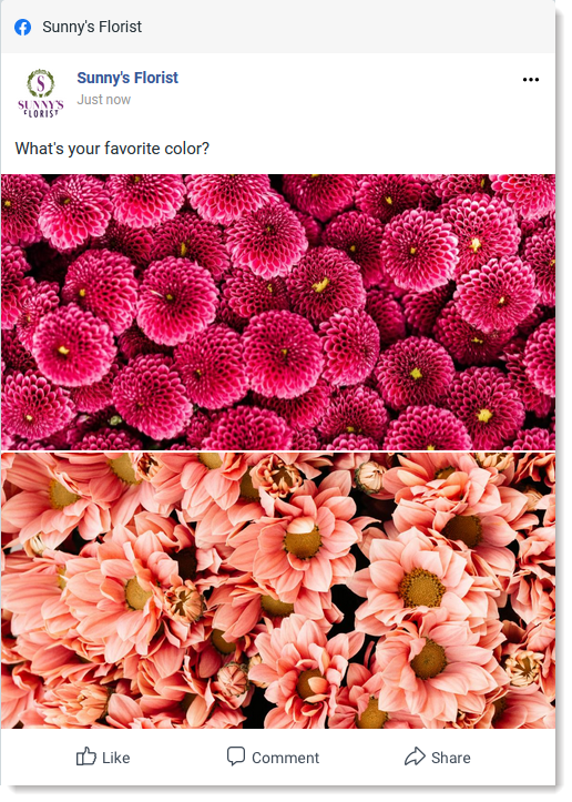 A horizontal image and vertical image in a Facebook post displaying as stacked images