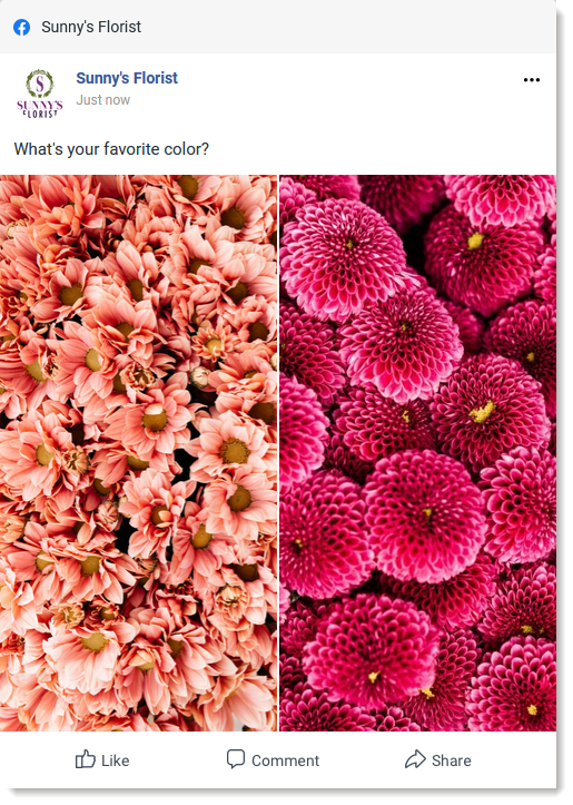 A vertical image and a horizontal image in a Facebook post displaying side-by-side