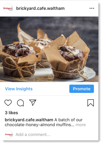 Example Instagram Post in a Mobile News Feed
