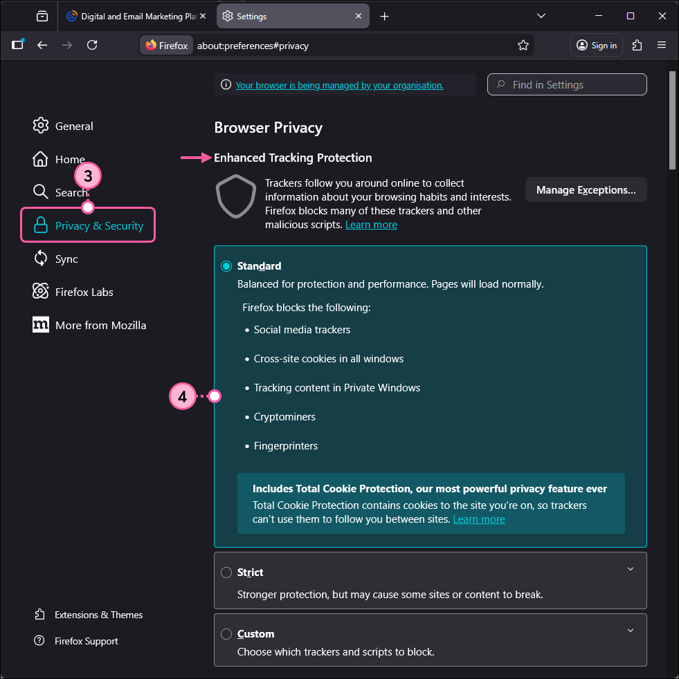 Firefox Settings page with Privacy and Security option selected, Browser Privacy options and Enhanced Tracking Protection section with Standard option selected