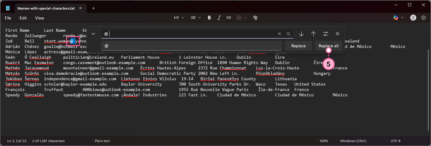 Notepad Replace overlay and Replace All button
