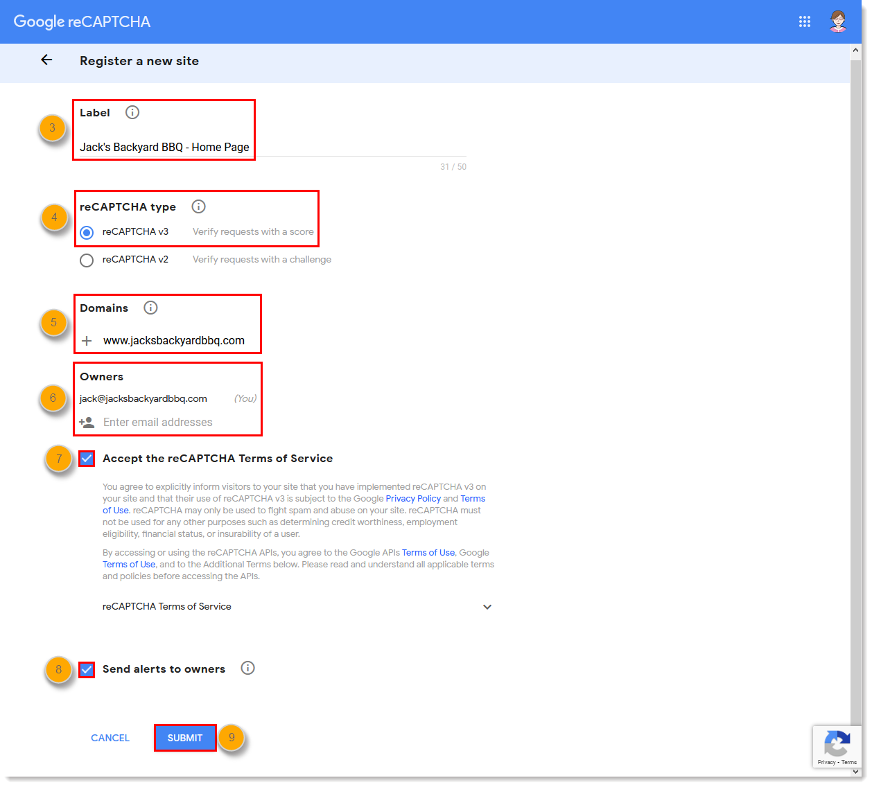 Label field, ReCAPTCHA options with reCAPTCHA v3 selected, Domains field, Owners field, terms of service option, alerts option, and Submit button