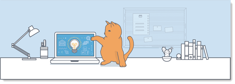 Cat on desk with laptop
