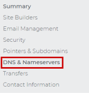 DNS & Nameservers menu choice