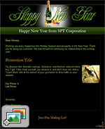 New Year's Promotion II