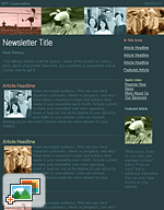 Municipal Newsletter