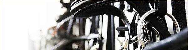 bridles