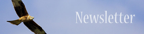 Life Coaching Header Image