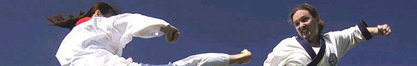 Newsletter - Martial Arts Header Image